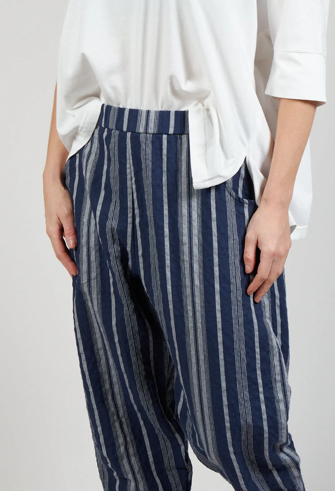 Alicia S Trousers In Blu Stripe