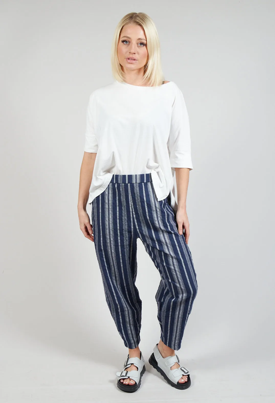 Alicia S Trousers In Blu Stripe