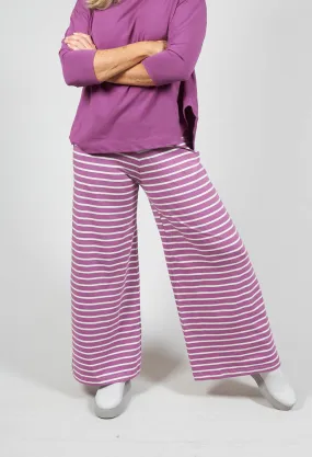 Dance R Trousers in Rapa Stripe