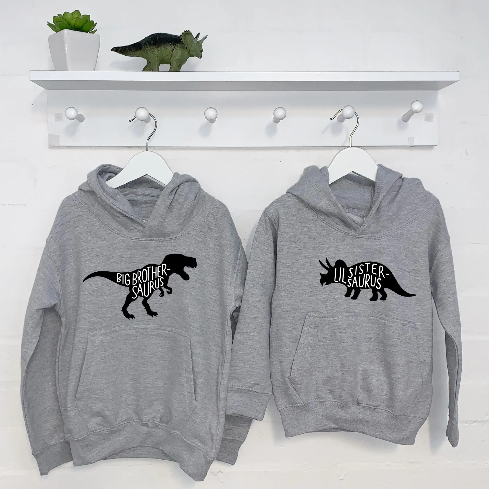 Dinosaur Brother Sister Hoodie Set