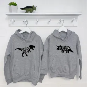 Dinosaur Brother Sister Hoodie Set