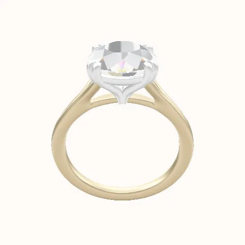 Split Cathedral Engagement Ring With Double Prongs Head