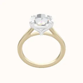 Split Cathedral Engagement Ring With Double Prongs Head